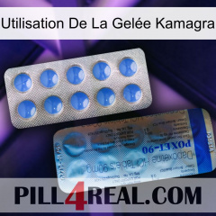 Utilisation De La Gelée Kamagra 40